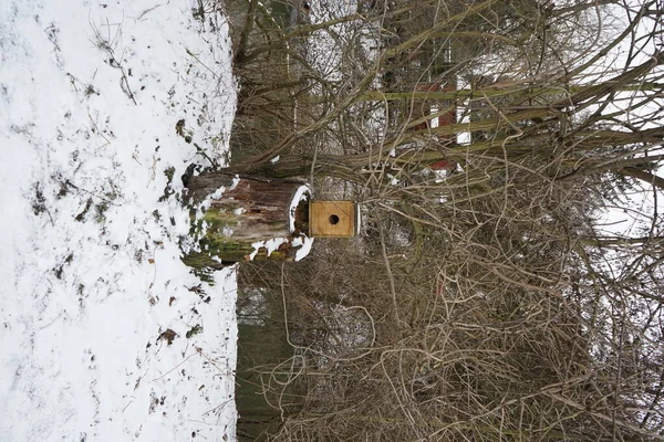 Vogelhäuschen Auf Einem Baum Der Wuhle Verschneiten Winter Marzahn Hellersdorf — Stockfoto