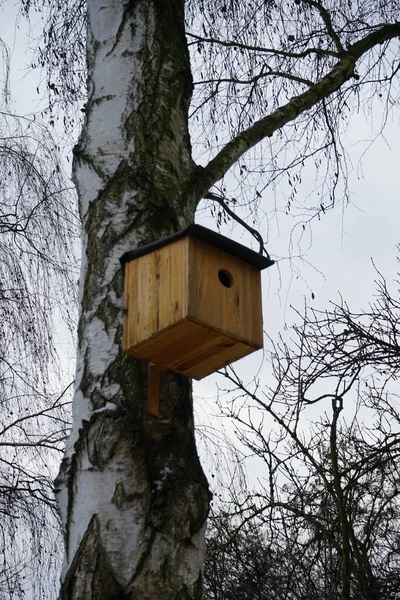 Vogelhuisje Aan Een Boom Bij Wuhle Rivier Besneeuwde Winter Marzahn — Stockfoto