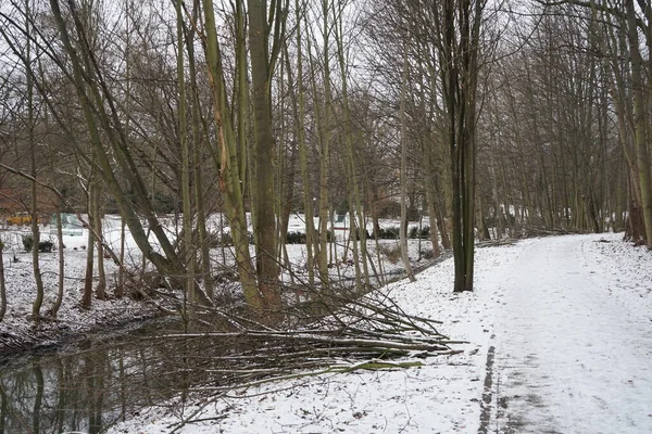 Vackert Snöigt Landskap Vid Floden Wuhle Februari Marzahn Hellersdorf Berlin — Stockfoto