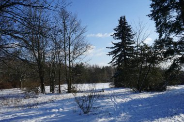 Güneşli bir şubat gününde muhteşem karlı bir manzara. Berlin, Almanya