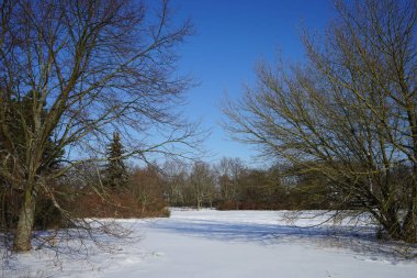 Güneşli bir şubat gününde muhteşem karlı bir manzara. Berlin, Almanya