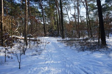 Güneşli bir şubat gününde muhteşem karlı bir manzara. Berlin, Almanya   