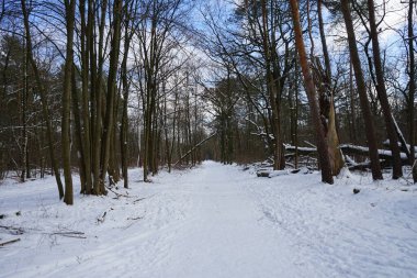 Şubat ayında güneşli bir günde muhteşem bir kar manzarası. Berlin, Almanya   