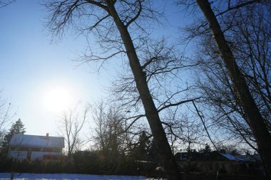Şubat ayında Wuhle nehri kenarındaki güzel kar manzarası. Marzahn-Hellersdorf, Berlin, Almanya  