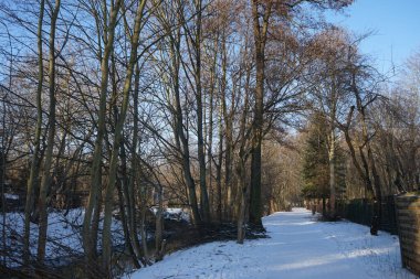 Şubat ayında Wuhle nehri kenarındaki güzel kar manzarası. Marzahn-Hellersdorf, Berlin, Almanya  