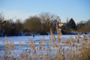 Donmuş Wuhlesee Gölü ve Berlinliler Şubat ayında buz üstünde spor yapıyorlar. Marzahn-Hellersdorf, Berlin, Almanya 