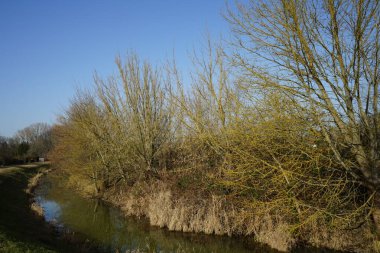 Güneşli bir şubat gününde Wuhle nehri ile güzel bir manzara. Marzahn-Hellersdorf, Berlin, Almanya