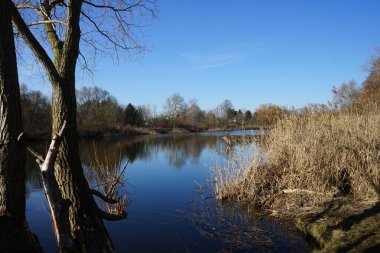 Wuhlesee Gölü manzarası. Marzahn-Hellersdorf, Berlin, Almanya