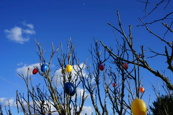 Easter colored eggs on the tree. Marzahn-Hellersdorf, Berlin, Germany