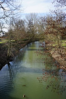 Güneşli bir Mart gününde Wuhle Nehri 'nde ördek. Berlin, Almanya.  