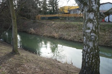 Güneşli bir Mart gününde Wuhle Nehri 'nde ördek. Berlin, Almanya.  