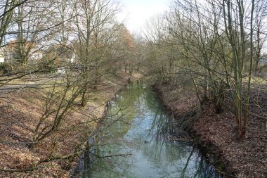 Güneşli bir Mart gününde Wuhle Nehri 'nde ördek. Berlin, Almanya.  