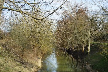 Güneşli bir bahar gününde Mart ayında Wuhle Nehri manzarası ve güzel bitki örtüsü. Marzahn-Hellersdorf, Berlin, Almanya  