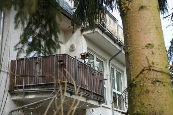 Bird feeders. Marzahn-Hellersdorf, Berlin, Germany