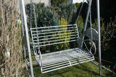 Bahçede kozalaklı ağaçların arkasına doğru sallan. Berlin, Almanya