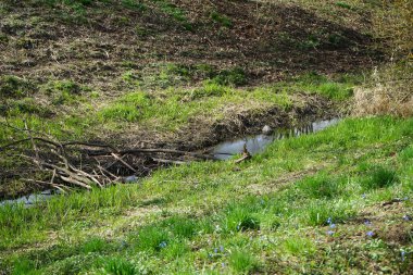 Güneşli bir bahar gününde sığ Wuhle Nehri manzarası. Marzahn-Hellersdorf, Berlin, Almanya 