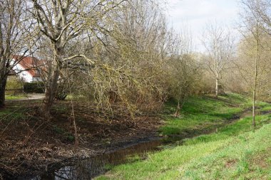Güneşli bir bahar gününde sığ Wuhle Nehri manzarası. Marzahn-Hellersdorf, Berlin, Almanya 