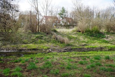 Güneşli bir bahar gününde sığ Wuhle Nehri manzarası. Marzahn-Hellersdorf, Berlin, Almanya 