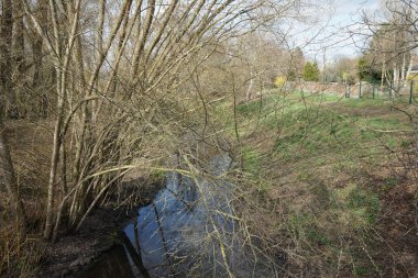 Güneşli bir bahar gününde sığ Wuhle Nehri manzarası. Marzahn-Hellersdorf, Berlin, Almanya 