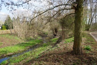 Güneşli bir bahar gününde sığ Wuhle Nehri manzarası. Marzahn-Hellersdorf, Berlin, Almanya 