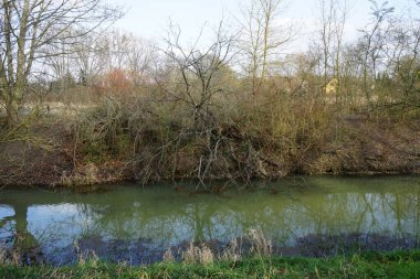 Güneşli bir bahar gününde sığ Wuhle Nehri manzarası. Marzahn-Hellersdorf, Berlin, Almanya 