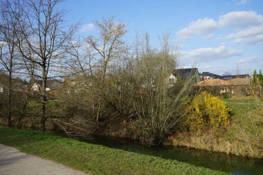 Güneşli bir bahar gününde sığ Wuhle Nehri manzarası. Marzahn-Hellersdorf, Berlin, Almanya 