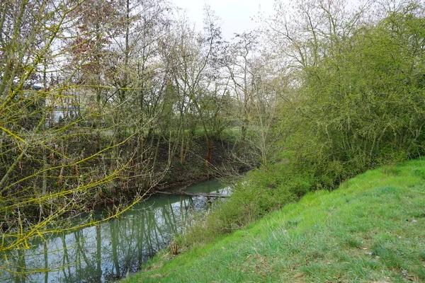 River Wuhle Magnificent Vegetation Spring Berlin Germany — Stock fotografie