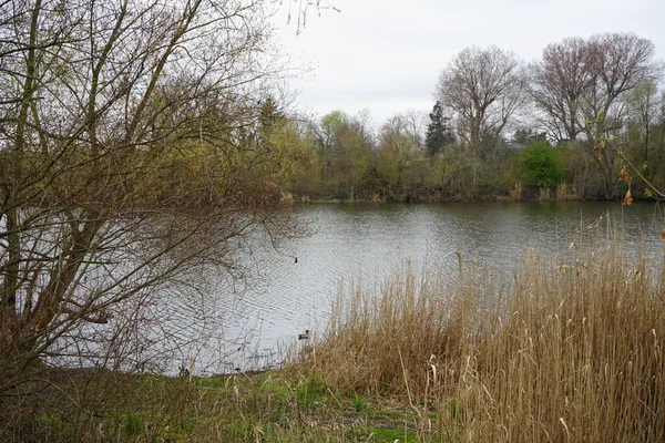 Kilátás Wuhlesee Tóra Egy Tavaszi Áprilisi Napon Marzahn Hellersdorf Berlin — Stock Fotó