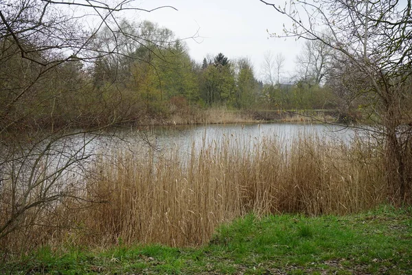 Vedere Lacului Wuhlesee Într Primăvară Aprilie Marzahn Hellersdorf Berlin Germania — Fotografie, imagine de stoc