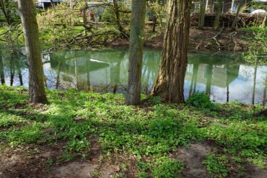 Güneşli bir bahar gününde sığ Wuhle Nehri manzarası. Berlin, Almanya 