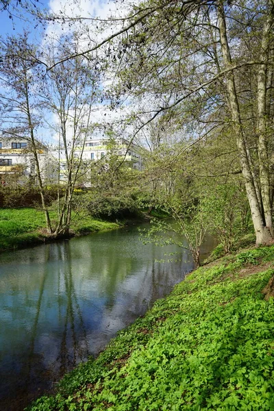 Vue Sur Rivière Wuhle Peu Profonde Par Une Journée Ensoleillée — Photo