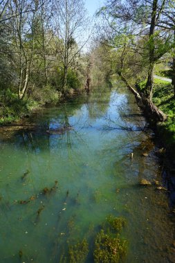 Güneşli bir bahar gününde sığ Wuhle Nehri manzarası. Berlin, Almanya  