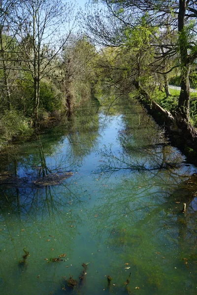 Güneşli bir bahar gününde sığ Wuhle Nehri manzarası. Berlin, Almanya  