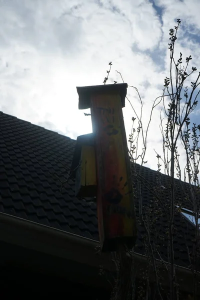 Birdhouse Sull Albero Primavera Berlino Germania — Foto Stock