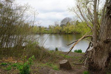 Bir Mayıs günü Wuhlesee Gölü manzarası. Marzahn-Hellersdorf, Berlin, Almanya  