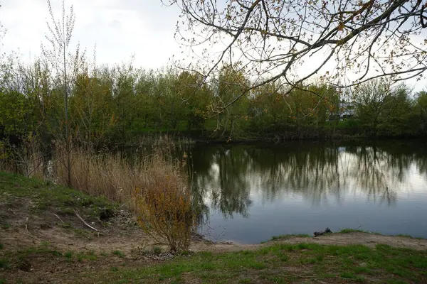 Vista Lago Wuhlesee Dia Maio Primavera Marzahn Hellersdorf Berlim Alemanha — Fotografia de Stock