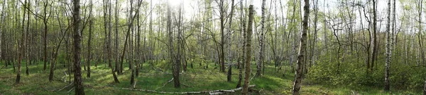 Photo Panorama 아름다운 베를린 베를린 — 스톡 사진