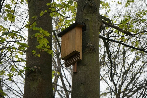 Thuis Voor Vleermuizen Marzahn Hellersdorf Berlijn Duitsland — Stockfoto