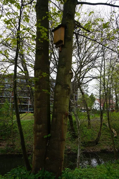 Zuhause Für Fledermäuse Marzahn Hellersdorf Berlin — Stockfoto