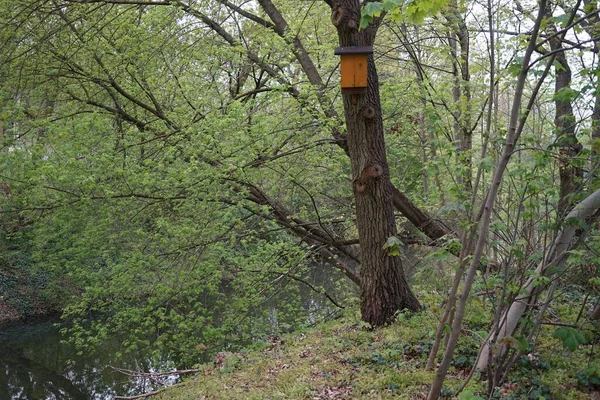 Thuis Voor Vleermuizen Marzahn Hellersdorf Berlijn Duitsland — Stockfoto