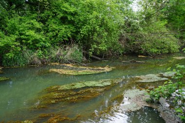 Güneşli bir bahar gününde sığ Wuhle Nehri manzarası. Berlin, Almanya 