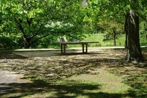 Berlin 'in dinlenme alanındaki Wule nehrinin kıyısında masa tenisi. Berlin, Almanya