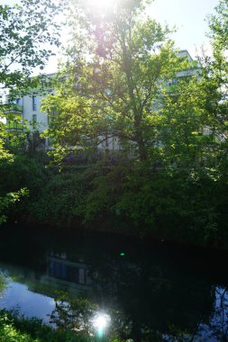 Wuhle Nehri ve çevresi Mayıs 'ta muhteşem bir bitki örtüsüyle çevrili. Berlin, Almanya 