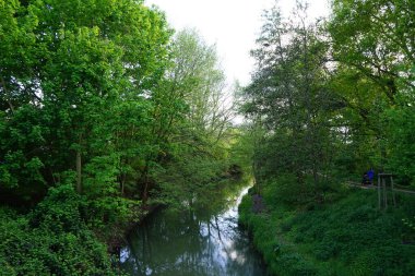 Wuhle Nehri ve çevresi Mayıs 'ta muhteşem bir bitki örtüsüyle çevrili. Berlin, Almanya 