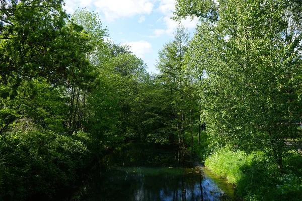 Rivière Wuhle Ses Environs Avec Une Végétation Magnifique Mai Berlin — Photo