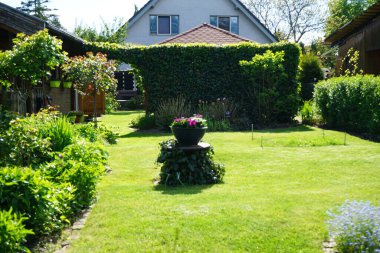 Mayısta çiçek açan bahçeye bakmak. Berlin, Almanya