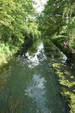 Wuhle Nehri ve çevresi Mayıs 'ta muhteşem bir bitki örtüsüyle çevrili. Berlin, Almanya 