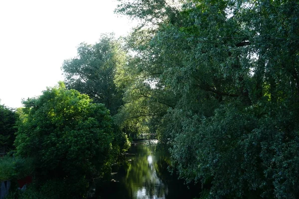 Rio Wuhle Arredores Com Vegetação Magnífica Junho Berlim Alemanha — Fotografia de Stock