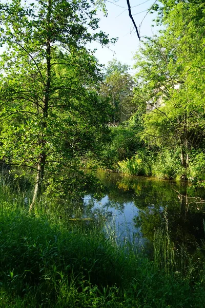 Rivière Wuhle Ses Environs Avec Une Végétation Magnifique Juin Berlin — Photo