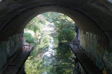 Wuhle Nehri ve çevresi haziran ayında muhteşem bir bitki örtüsüyle çevrili. Berlin, Almanya  